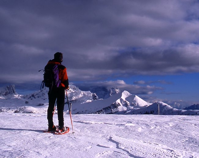  Panorámicas alpinas